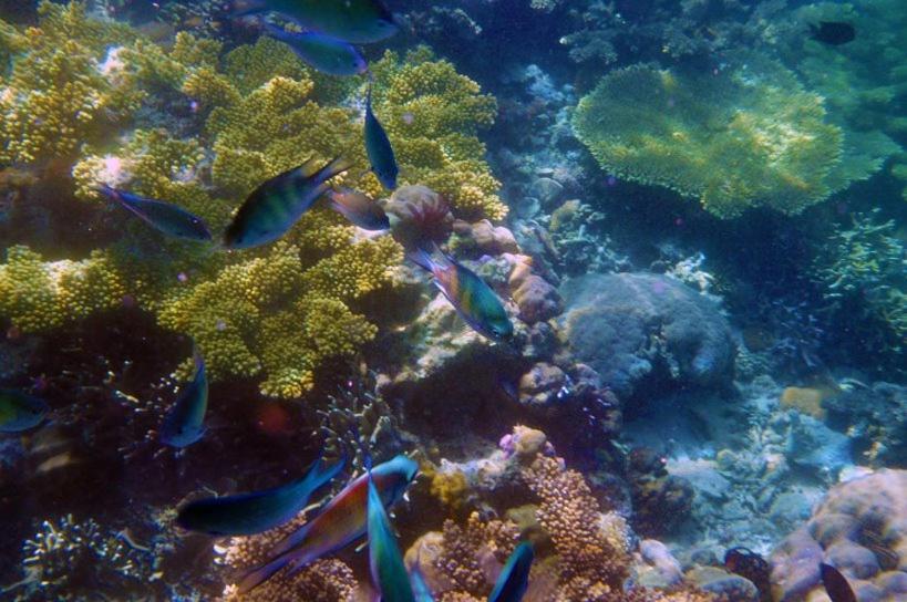 Balaibinda Lodge Coron Kültér fotó