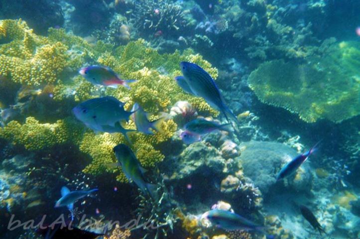 Balaibinda Lodge Coron Kültér fotó